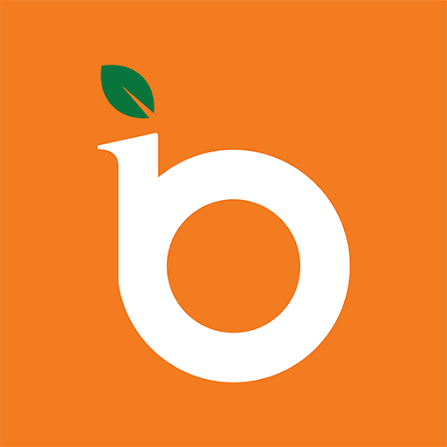 Briclay Tech